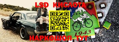 стафф Дмитров