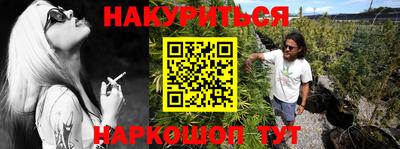 прущие грибы Долгопрудный