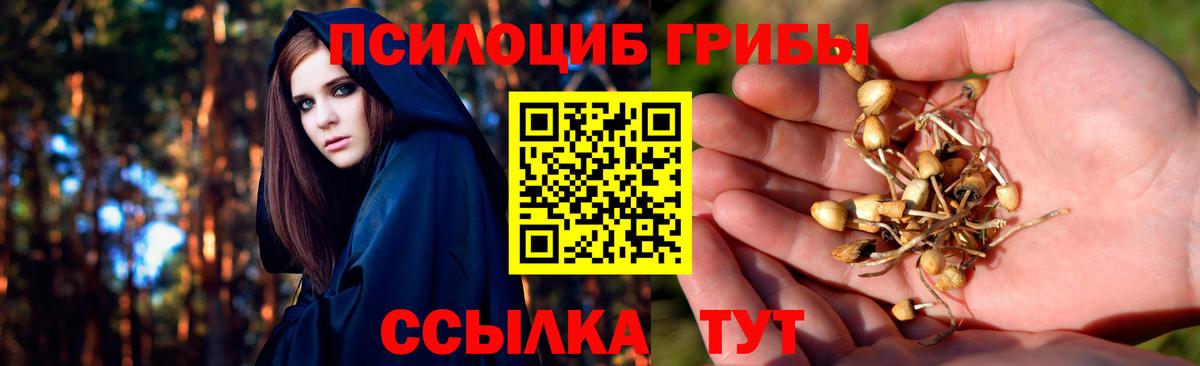 Галлюциногенные грибы ЛСД Грязи